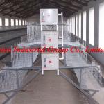 A-type Hot Galvanized Layer Chicken Cage (Professional Manufacturers welcome to visit our abroad farm sample )