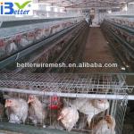 Hot-Sale BT factory A-128 design layer chicken cages(Welcome to Visit my factory)