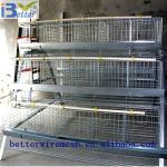 Best selling BT factory A-160 type automatic poultry cages(Welcome to Visit my factory)