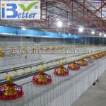 BT factory poultry equipment for broiler chicken
