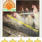 Chiken feeding system poultry farm products