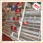 2013 most popular fully automatic chicken cage for layers