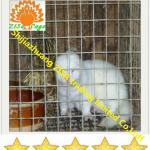 Mink Cage Welded Wire Mesh Animal Cage Mink Cage