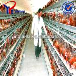 automatic poultry layer chicken cage for farm