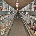 2013 New design Hot sale A type 3 Layer egg chicken cage for african market(Factory price)