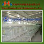 hot selling high quality poultry chicken house for layer