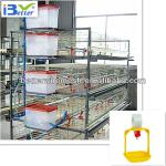 2013 Hot-sell H type Broiler Chicken Cage(Welcome to Visit our factory)