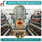A-Type automatic layer chicken cage with 4 tiers
