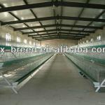 nigeria best selling products in chicken farm
