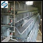 Advanced design layer chicken battery cage for sale