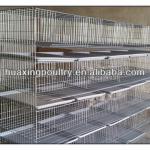 low price high quality quail layer cage for sale
