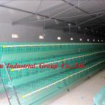 Chicken Laying Egg Cages ( Professional Manufacturers welcome to visit our abroad farm sample )