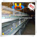 chicken pullet battery cage system in poultry raising hatchery farm
