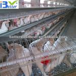 Best selling BT factory A-120 chicken poultry layer cage(Welcome to Visit my factory)