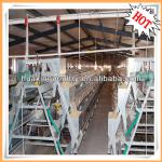 International standard large-scale good qualiy factory price automatic poultry farming system for chickens