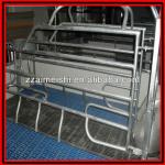 Gestation sow stall with stainless steel feeder