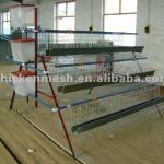 poultry farm layer cage made in Hebei