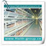 low cost H type chicken layer cages 008613938486709