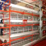best price chicken cage for Kenya market