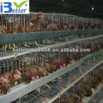 Best selling BT factory A-128 battery broiler cage (Welcome to Visit my factory)