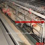 Design Layer Chicken Cages For Kenya Poultry Farm ( Office and warehouse in Lagos and Abuja )