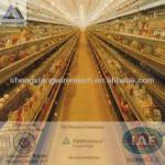 (Germany TUV Rheinland)shengxiang chicken layer cage(factory)