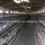 poultry cage 2013 new design layer poultry cages many types for you choose