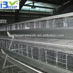 Hot-Sale BT factory A-128 chicken cages layer(Welcome to Visit my factory)