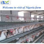 Best selling BT factory A-128 type layer chicken cage (Welcome to Visit my factory)