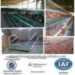 gaiola da galinha da camada TUV Certicification hot dipped galvanized 20 years lifetime with Auto water system