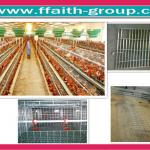 2012 new type high quality chicken laying cage system with hot dip galvanized