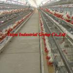 Export standard layer cage for sale