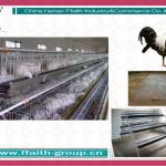 2012 new type high quality chicken laying cage system