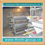 A type automatic chicken cages with high quality