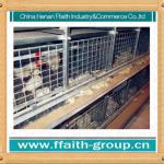 automatic H type broiler chicken cage design made in China