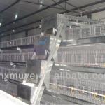 used poultry battery cages for sale