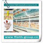 good quality H type chicken layer cages 008613938486709