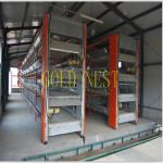 H type Layer poultry farm equipment