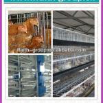 2013 automatic chicken layer cage for poultry house