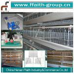 2013 high quality chicken cages for poultry house