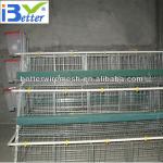 Hot-Sale BT factory A-120 type poultry farm layer cage(Welcome to Visit my factory)