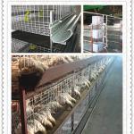 high quality poultry house use chicken cages