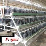 Taiyu chicken cage system for sale africa (own oversea agent)