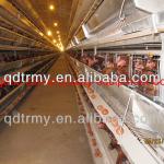 automatic high quality chicken egg poultry farm