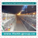 A type automatic chicken cages design