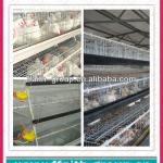 automatic poultry house chicken layer cage