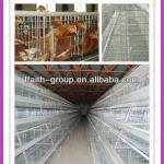 2013 low cost automatic chicken layer cage