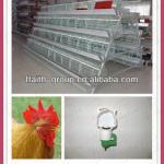Ffaith- group automatic chicken layer cage