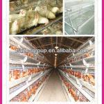 new type chicken layer cage with low cost