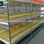 hot-sale large-scale automatic poultry farm machinery
